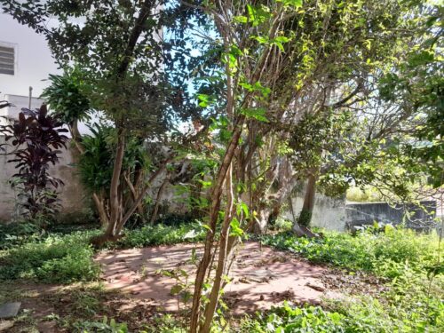 Casa, venda ou aluguel, 500m², no bairro Pacaembú/Sumaré – São Paulo – SP