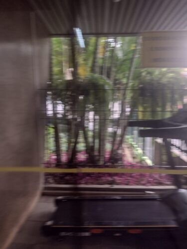 Apartamento, 2 Dorm., 2 banheiros para Aluguel, 68 m² ao lado da PUC, Perdizes – São Paulo – SP.