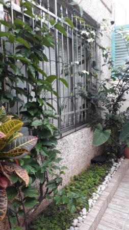 Casa Sobrado, vende, 400m², 3 dorm., 1 suíte, Perdizes – São Paulo – SP.