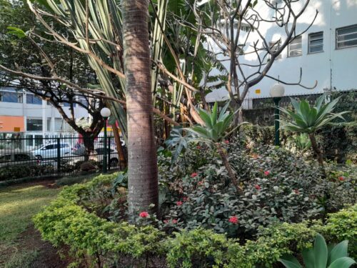 Amplo Apartamento, aluguel, 140m², 4 dorm. em Perdizes, São Paulo – SP