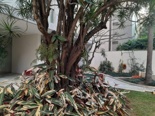 Amplo Apartamento, aluguel, 140m², 4 dorm. em Perdizes, São Paulo – SP