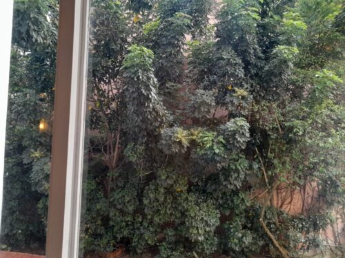 Apartamento, 118m², 3 dorm. sendo 1 suíte em Perdizes – São Paulo – SP