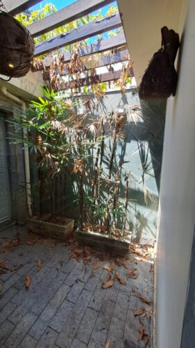 Casa Comercial, vende/aluga, 321m², 8 Salas no Pacaembu – São Paulo – SP