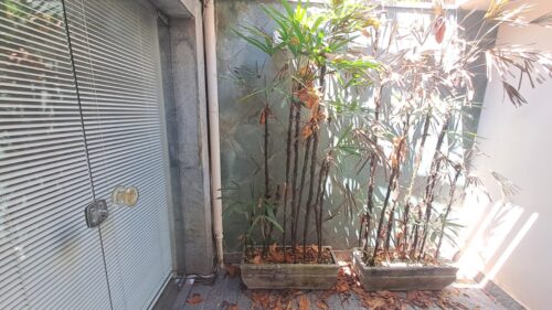 Casa Comercial, vende/aluga, 321m², 8 Salas no Pacaembu – São Paulo – SP