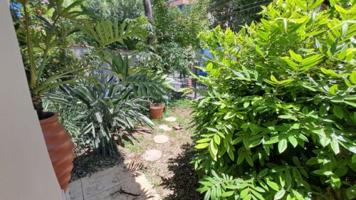 Casa Sobrado, aluga, 235m², 4 dorm., 1 suíte no Pacaembu – São Paulo – SP