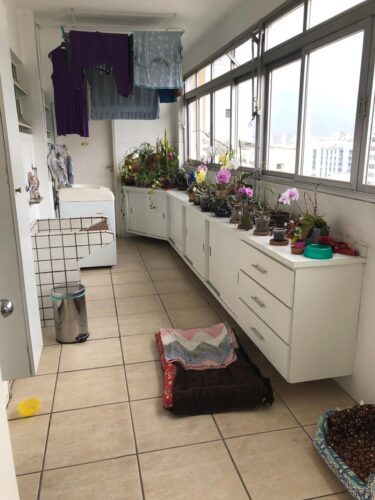 Apartamento, vende, 170m² em Higienópolis, São Paulo – SP.