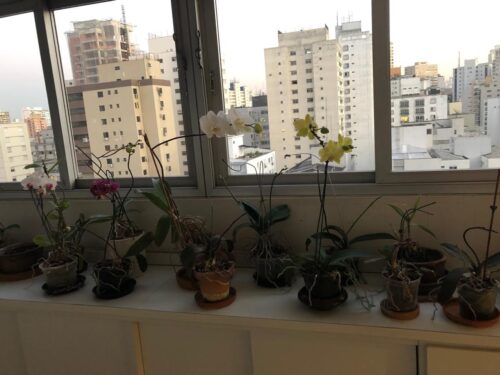 Apartamento, vende, 170m² em Higienópolis, São Paulo – SP.