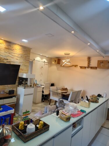 Apartamento, 2 quartos, 65 m² à venda na Barra Funda – São Paulo – SP