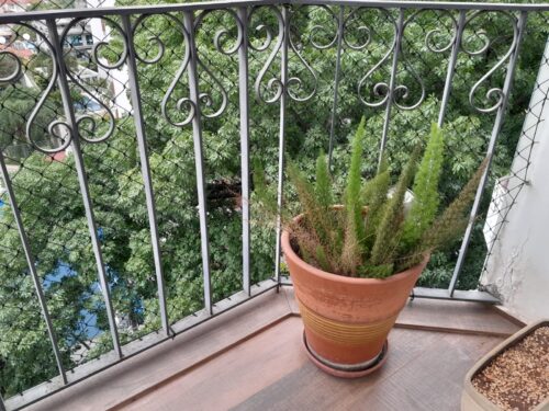 Apartamento, vende, 102m², Perdizes – São Paulo – SP