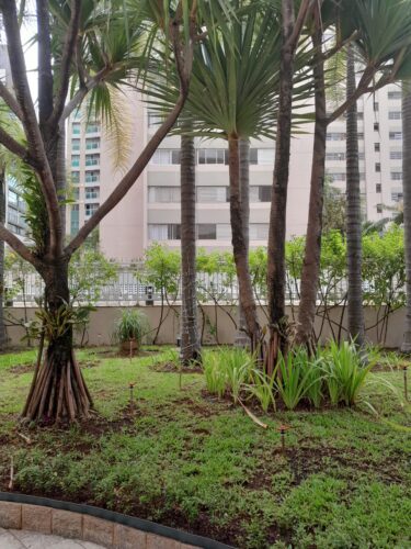 Apartamento, 37 m² e 1 quarto, aluguel em Perdizes São Paulo – SP