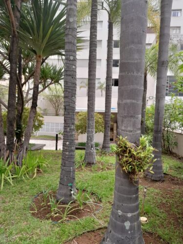 Apartamento, 37 m² e 1 quarto, aluguel em Perdizes São Paulo – SP