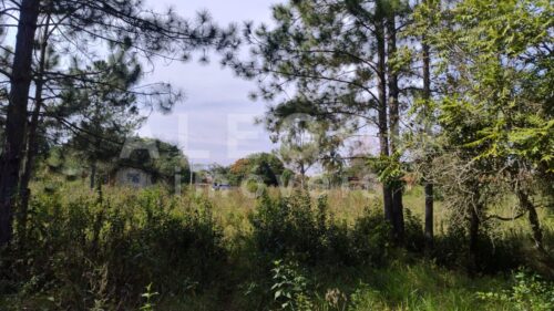 Excelente Terreno Urbano de 5.000m² em Araçoiaba da Serra – Próximo a Sorocaba