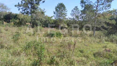 Excelente Terreno Urbano de 5.000m² em Araçoiaba da Serra – Próximo a Sorocaba